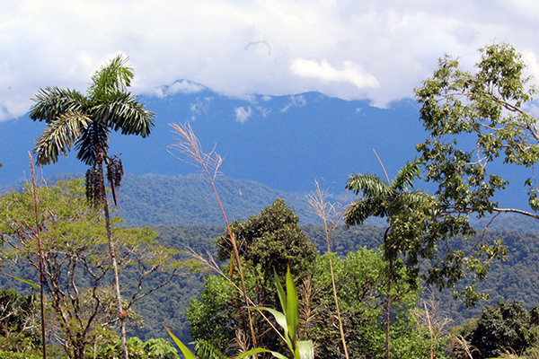 Countryside of Ecuador