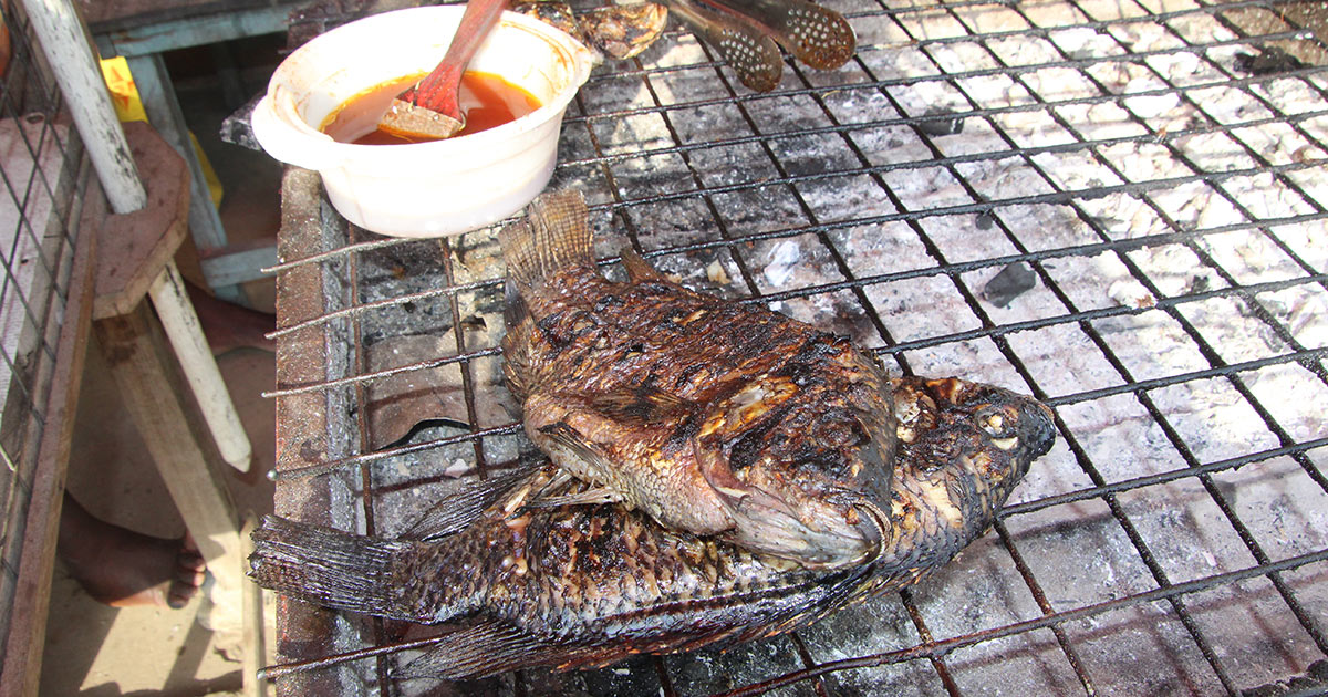 Cooked fish on a grill.