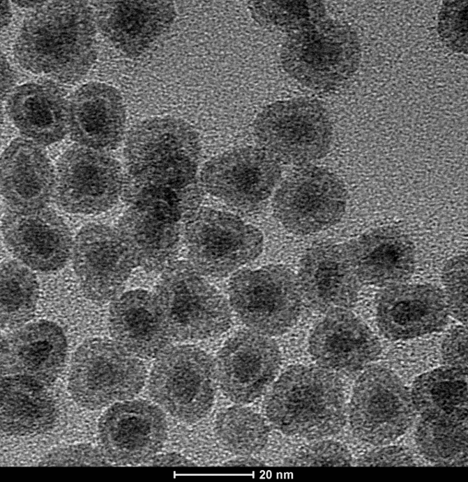 Figure: TEM image of pure iron nanoparticles with an iron-oxide shell dispersed on a copper TEM grid.