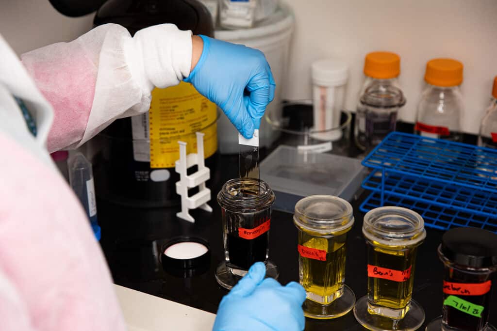 Colleen Crouch's hand in blue latex gloves evaluating a sample in a lab setting.