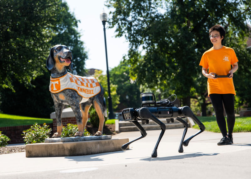 Graduate student Mengjun Wang walks a robot dog with a Light Detection and Ranging (LiDAR) sensor installed near the Smokey statue near Ayres Hall as part of her research