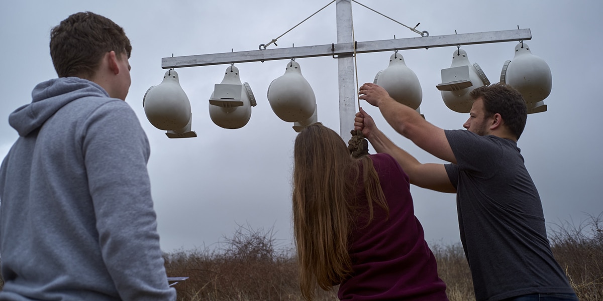 Senior Design Project Takes Flight at Seven Islands State Birding Park