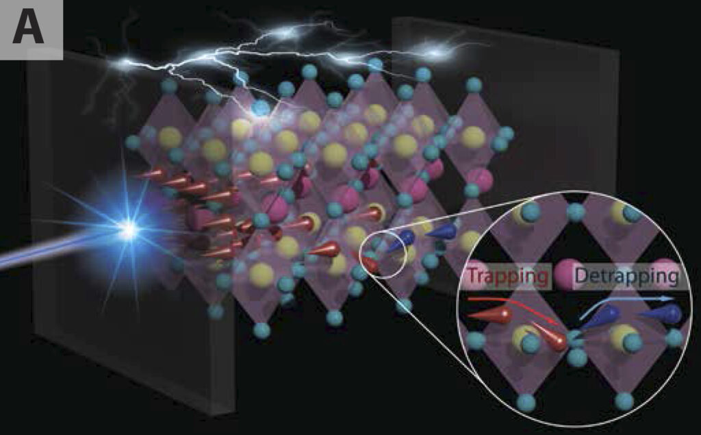 Giant isotope effect on phonon dispersion and thermal conductivity in methylammonium lead iodide