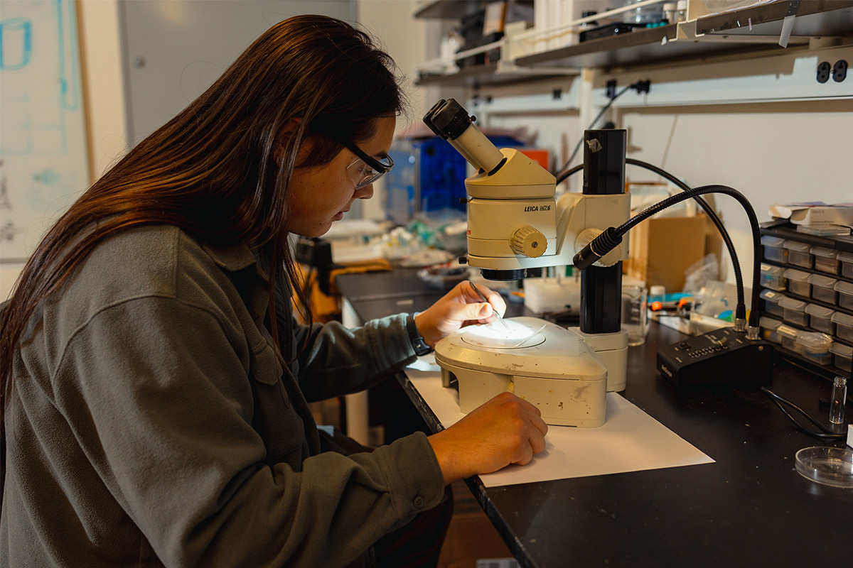 Student studies kagome crystals under a microscope.