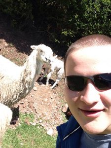 Zak Pasternak with Llamas