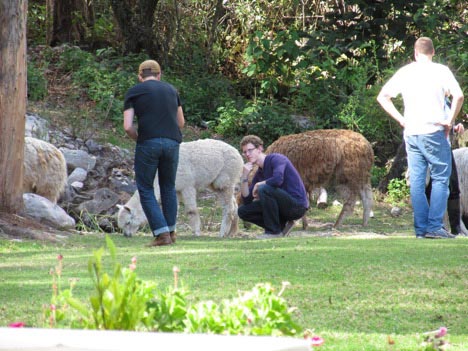 Evans Gritton and COE Students Inspect a Llama