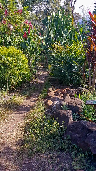 Path to Bona Fide permaculture farm
