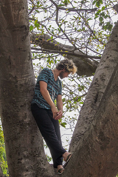 Cameron Hale Climbing a Tree