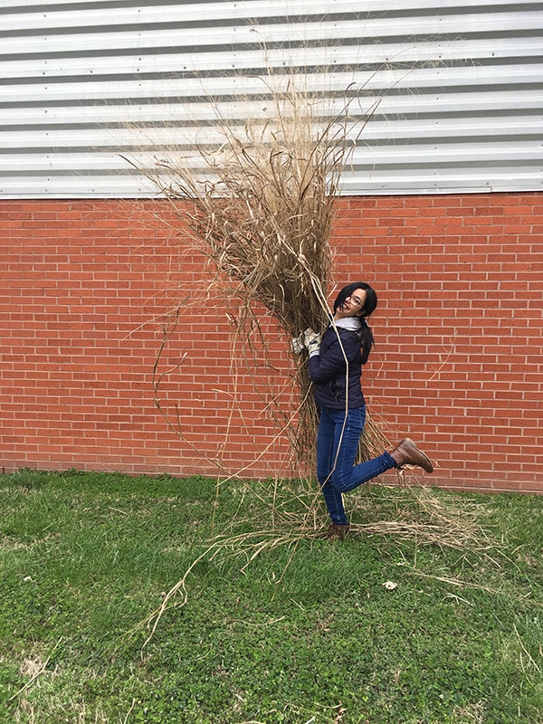 Valerie has recently published a paper on a model for the hierarchical decomposition of the radial distribution function obtained from neutron and x-ray scattering, which provides experimental insight into the atomic and mesoscale structure of the composites. Currently, she is working to determine how the choice of different feedstocks, including switchgrass, impacts composite structure and thus battery performance.