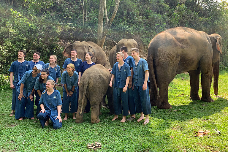 TCE group with elephants at the sanctuary, Thai Elephant Home.