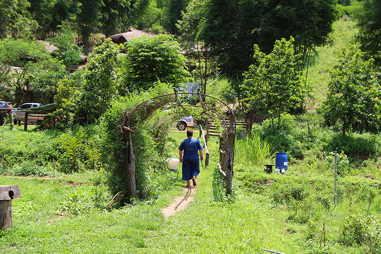 Kenton Smith taking a walk in rural northern Thailand.