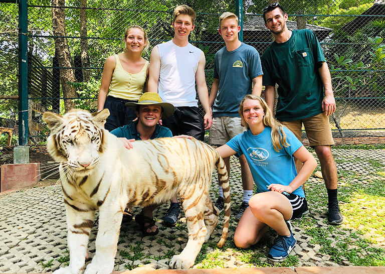 Small TCE group with a white tiger.