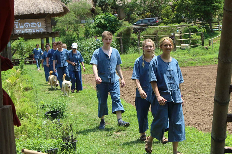 Group walking at elephant sanctuary.