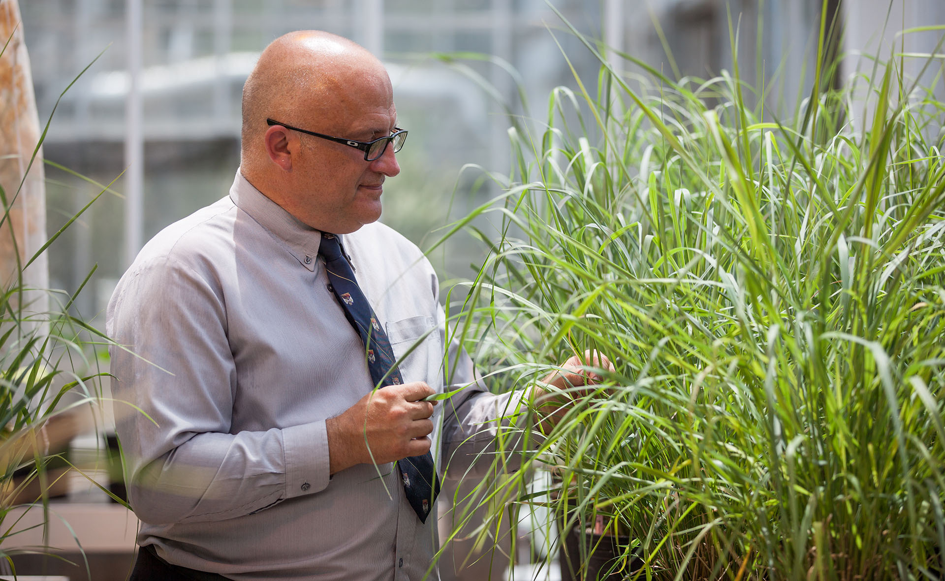 Ragauskas Helps Lead Biofuel-Related Breakthrough, Gains Honors