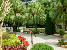 Charlton Pence Visits a Park in Macau