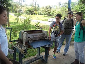 Coffee Plantation Tour in Peru