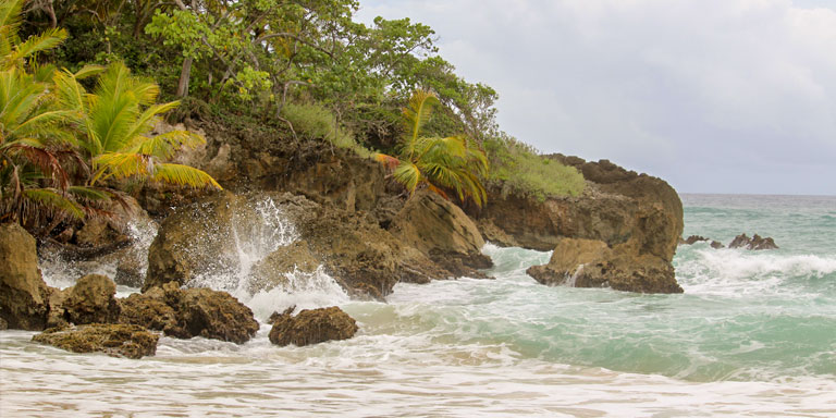 Shoreline of the Beach in the Dominican Republic