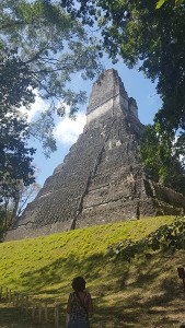 Mayan Temple of Tikal