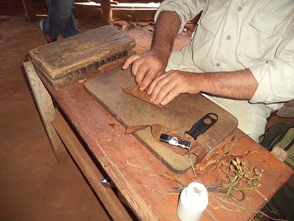 Cigar Being Rolled in Cuba