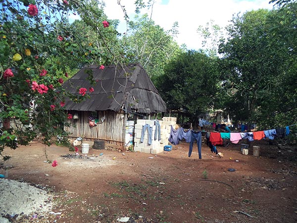 Typical Mayan Homestead