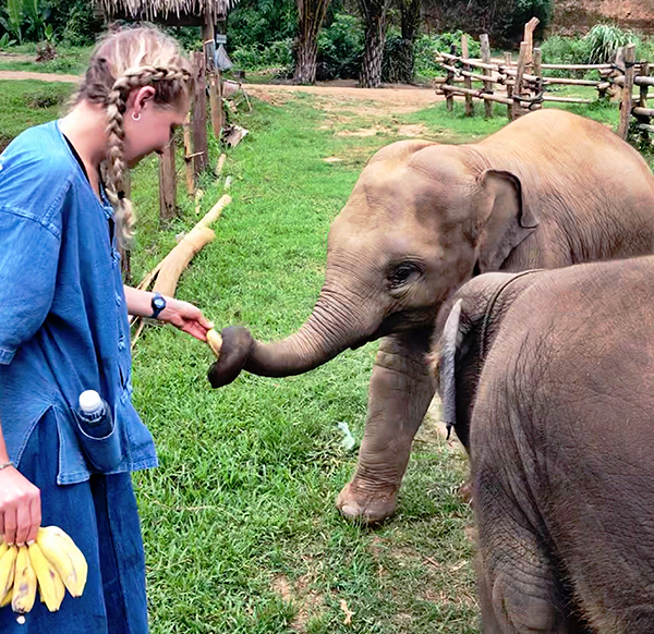 Lauren DesJardins feeds baby elephants bananas.