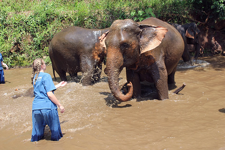 Natalie Holt with Elephant in Thailand