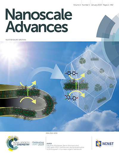 Nanoscale Advance Cover