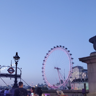 The London Eye ferris wheel, lighted by a ring of purple lights at dusk.