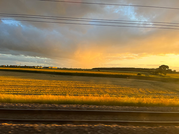 A country side view of an open field during sunset. The sky is a light orange and yellow tint which reflects on the crops in the field. Train tracks are visible in the immediate foreground. A slight motion blur gives the perception this view is from a moving train.