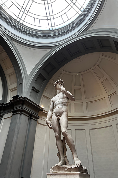 Michelangelo’s David in the Galleria dell' Accademia di Firenze