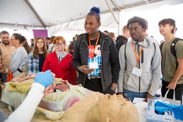 Students look at Mabeline, a human Syndaver. 