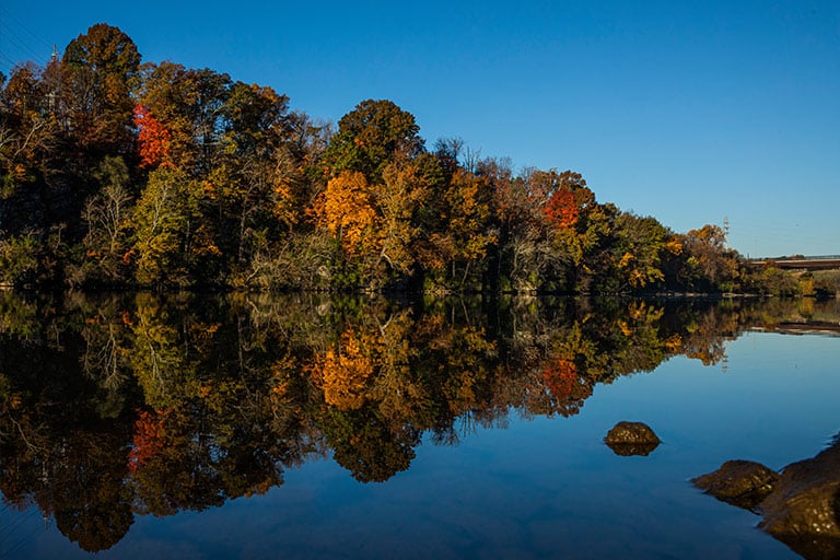 Tennessee River Shoreline