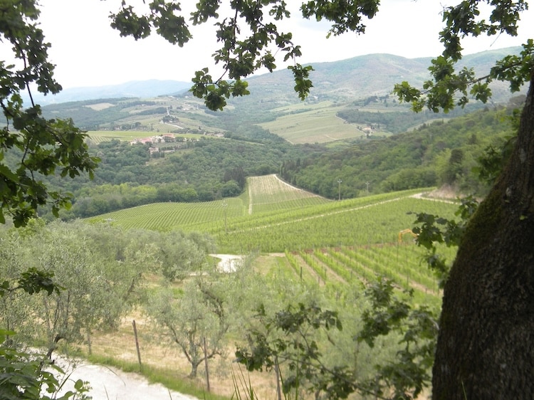 Italian countryside