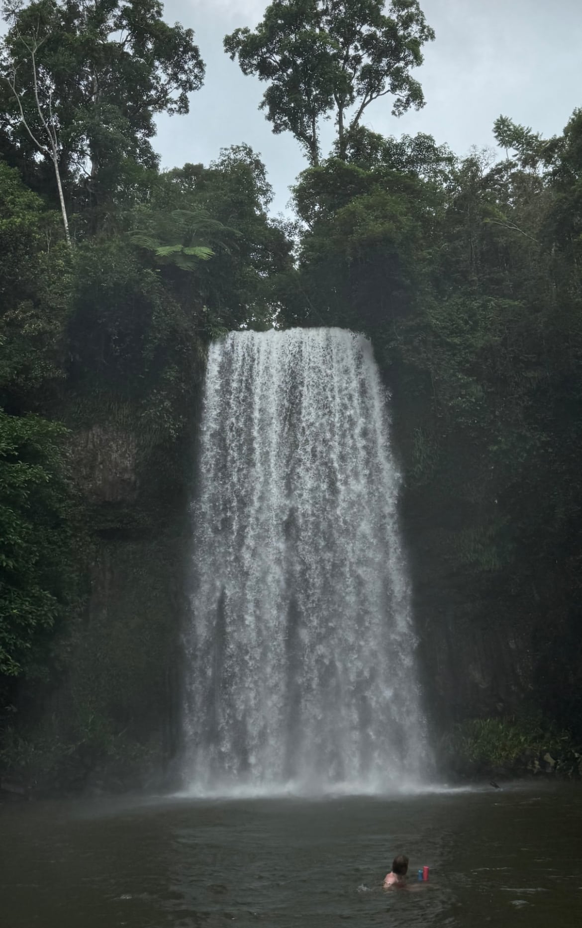 millaa millaa falls