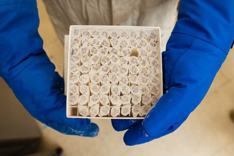 labeled vials from Qiang He's lab